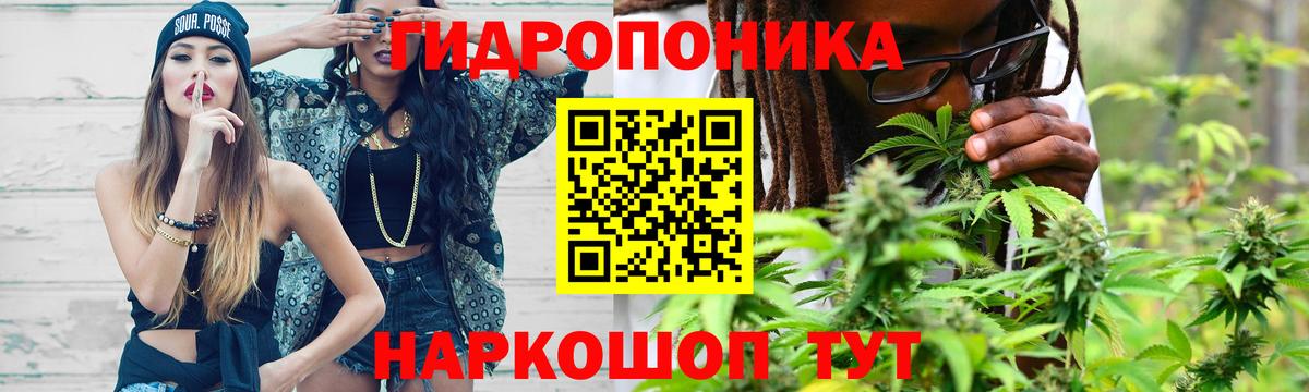 Марихуана Amnesia Санкт-Петербург